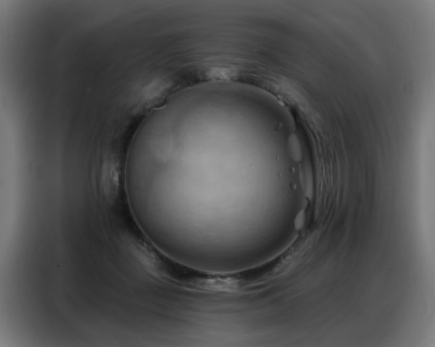 X0000088380363200705221058