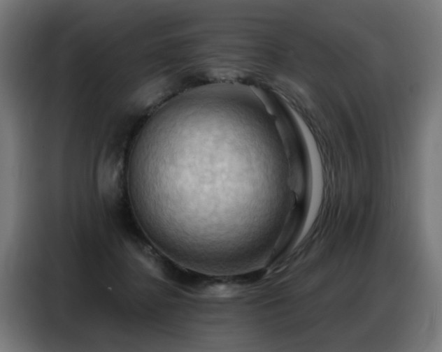 X0000088380364200705221058