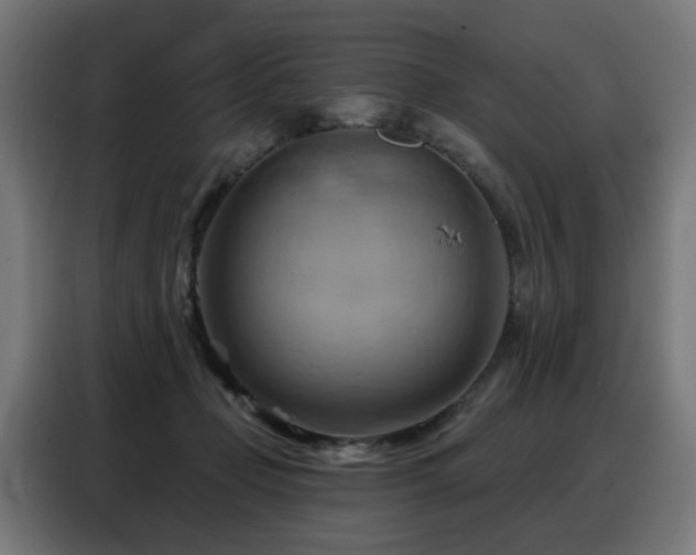 X0000088380365200705221058