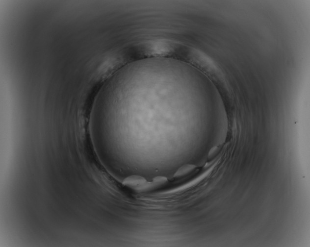 X0000088380366200705221058