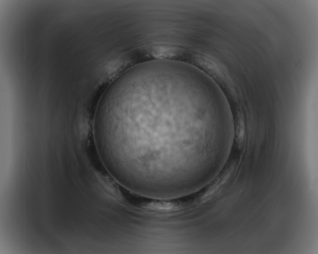 X0000088380367200705221058