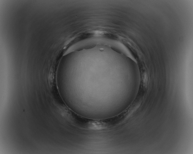 X0000088380372200705221058