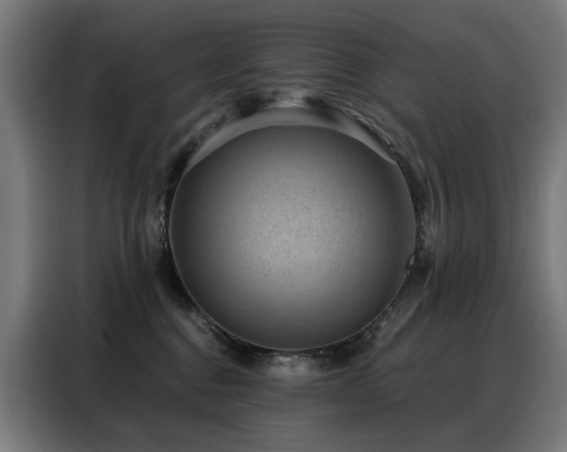 X0000088380376200705221058