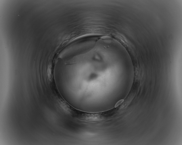 X0000088380377200705221058
