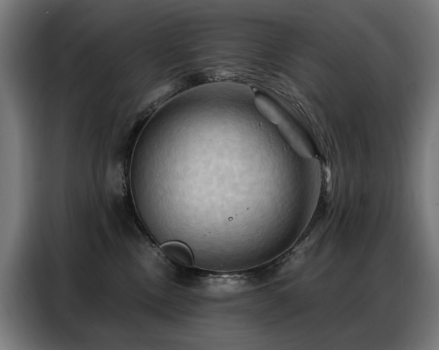 X0000088380378200705221058