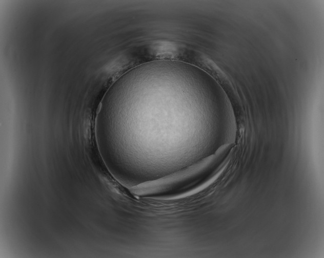 X0000088380379200705221058