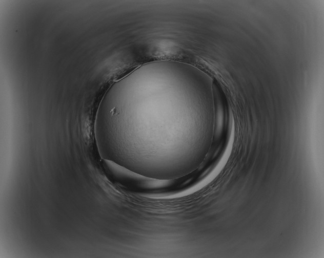 X0000088380380200705221058