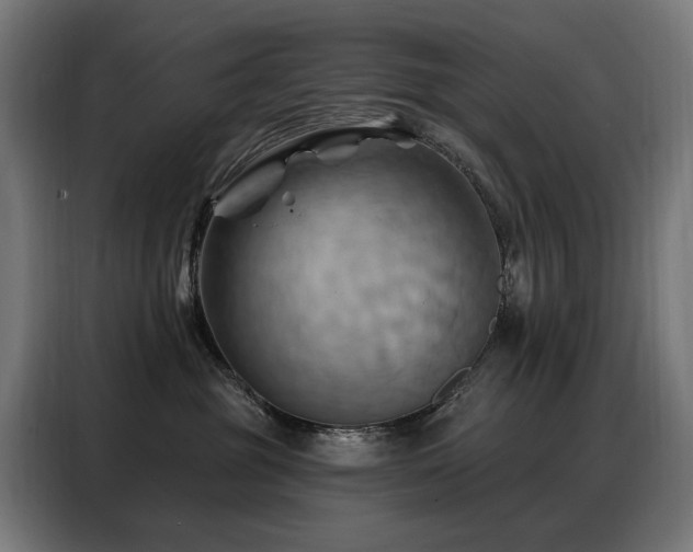 X0000088380381200705221058