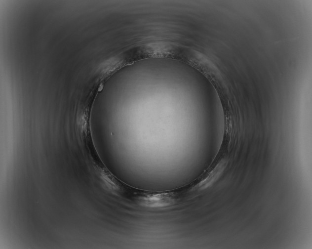 X0000088380382200705221058