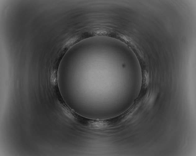 X0000088380383200705221058