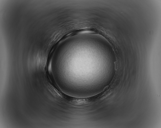 X0000088380384200705221058