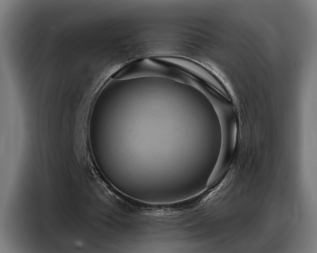 X0000088380385200705221058