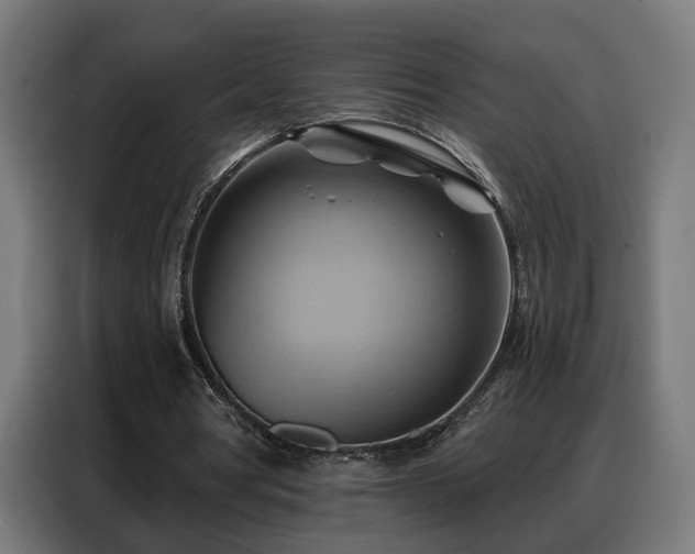 X0000088380386200705221058