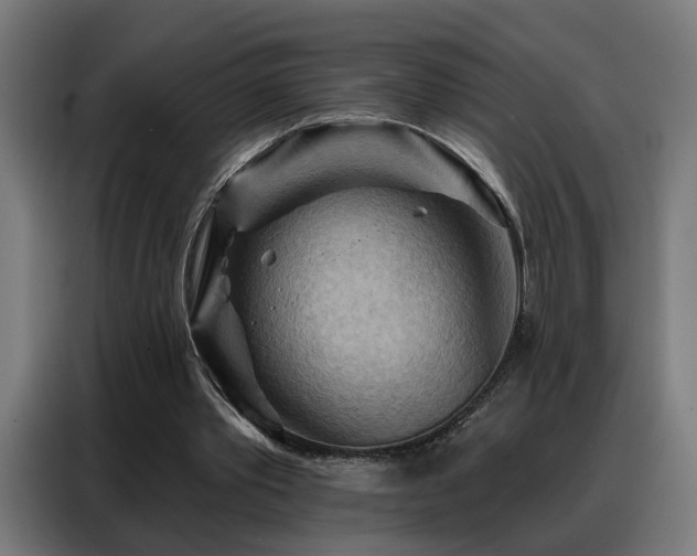 X0000088380389200705221058