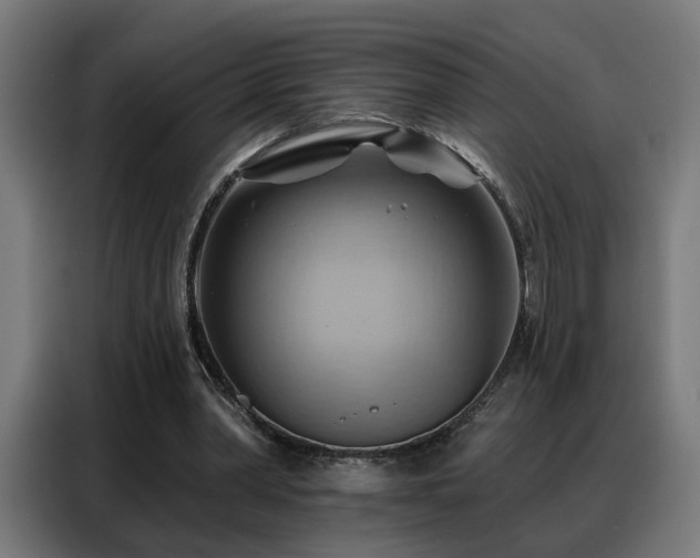 X0000088380390200705221058