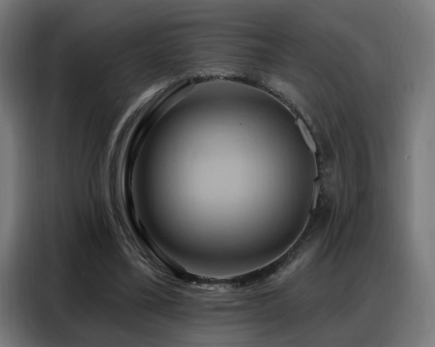 X0000088380395200705221058
