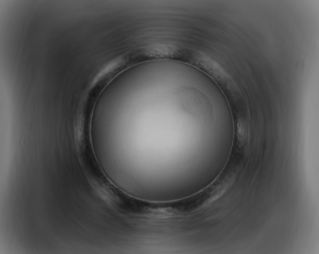X0000088380396200705221058