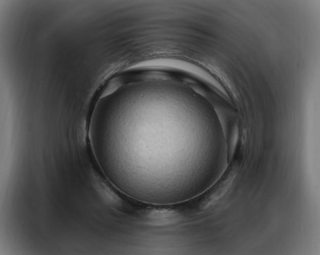 X0000088380397200705221058