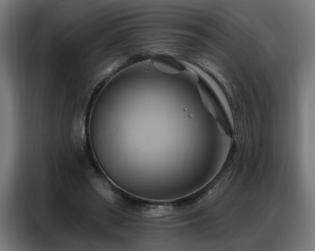 X0000088380398200705221058