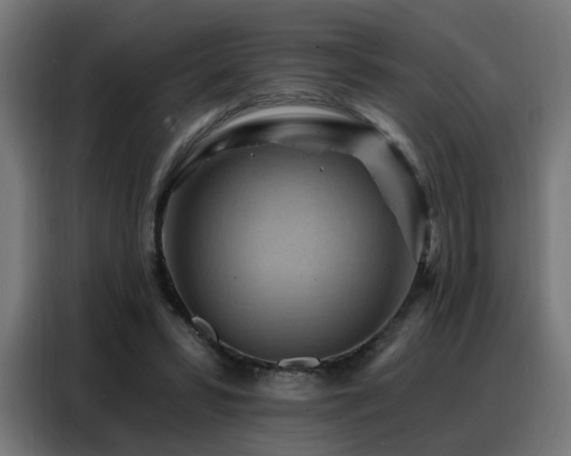 X0000088380399200705221058