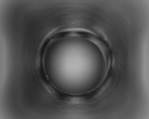 X0000088380400200705221058