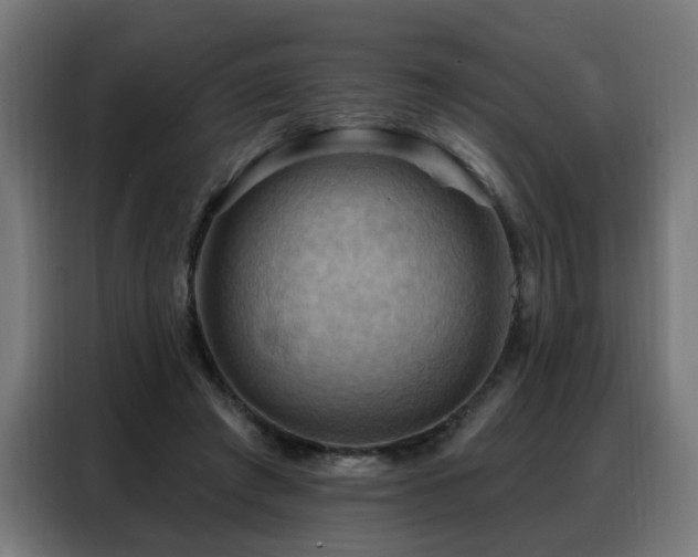 X0000088380401200705221058