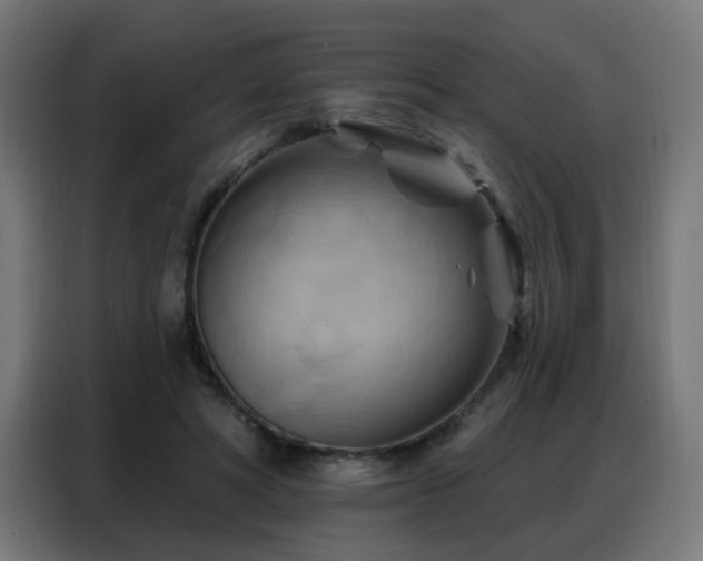 X0000088380402200705221058