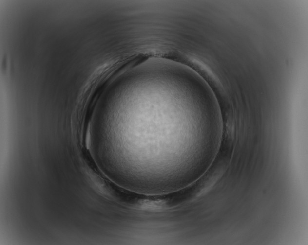 X0000088380403200705221057