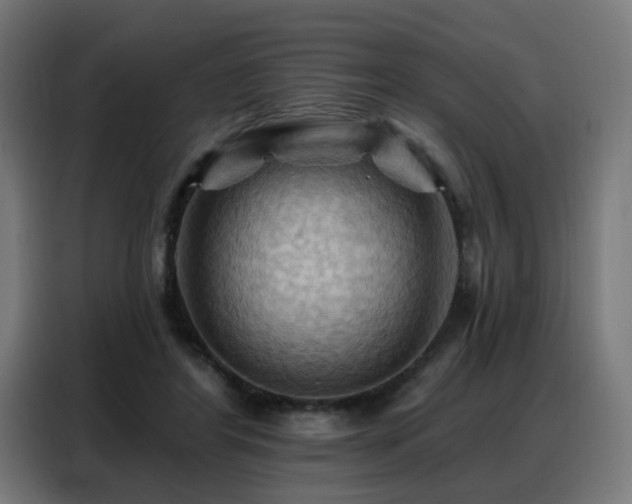X0000088380404200705221057