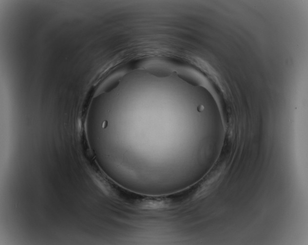 X0000088380405200705221057