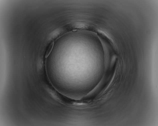X0000088380407200705221057