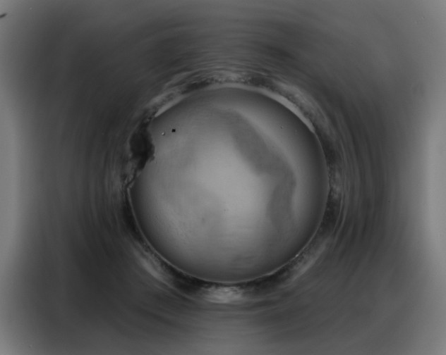 X0000088380409200705221057