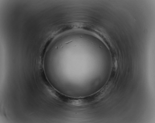 X0000088380411200705221057