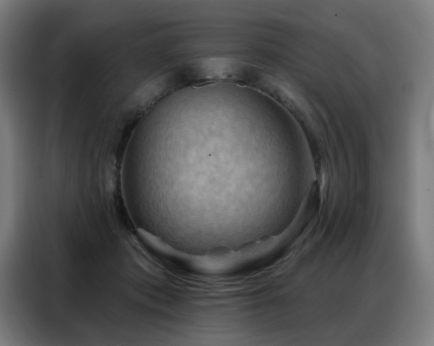 X0000088380413200705221057