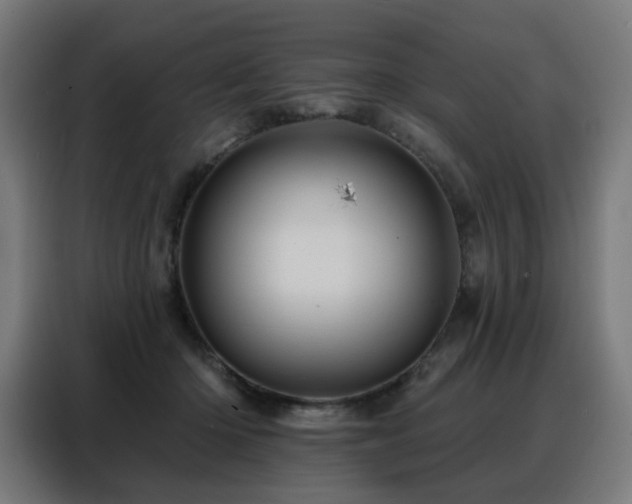 X0000088380414200705221057