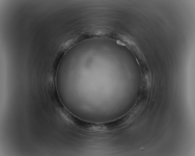 X0000088380415200705221057
