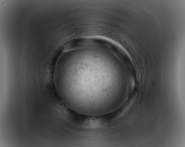 X0000088380416200705221057