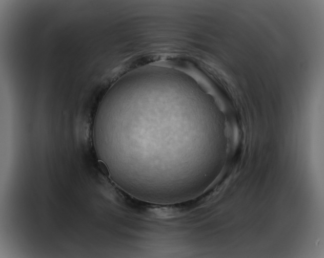 X0000088380417200705221057