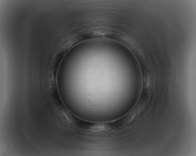 X0000088380418200705221057