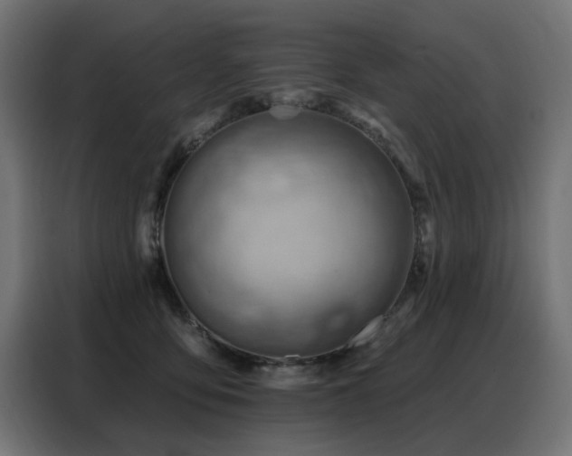 X0000088380419200705221057