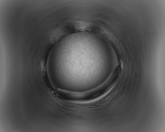 X0000088380420200705221057