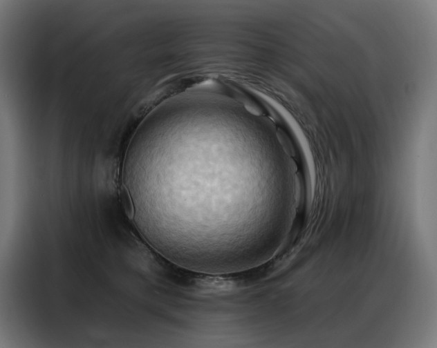 X0000088380421200705221057