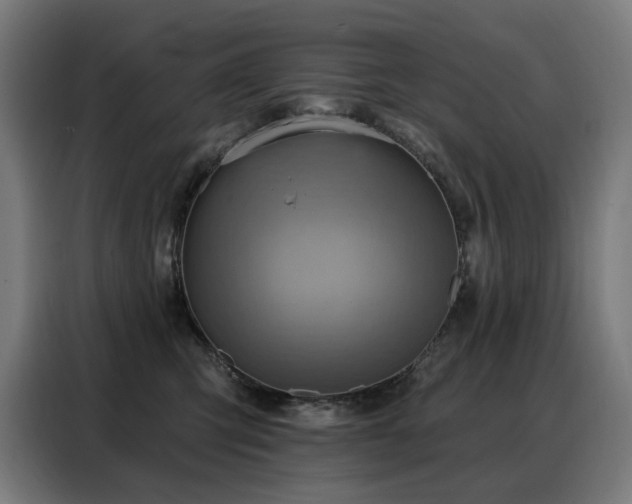 X0000088380423200705221057