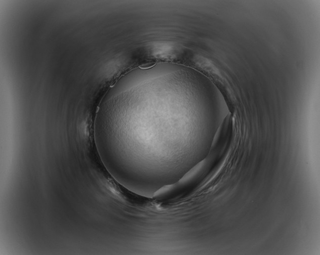 X0000088380424200705221057