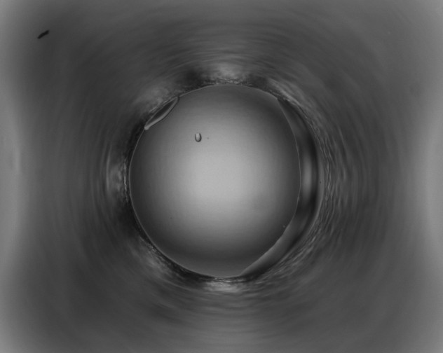 X0000088380425200705221057