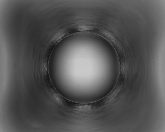 X0000088380426200705221057