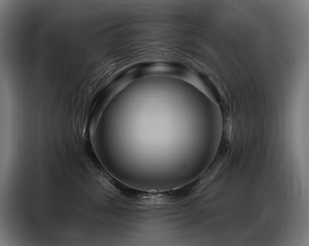 X0000088380428200705221057