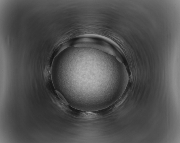 X0000088380429200705221057