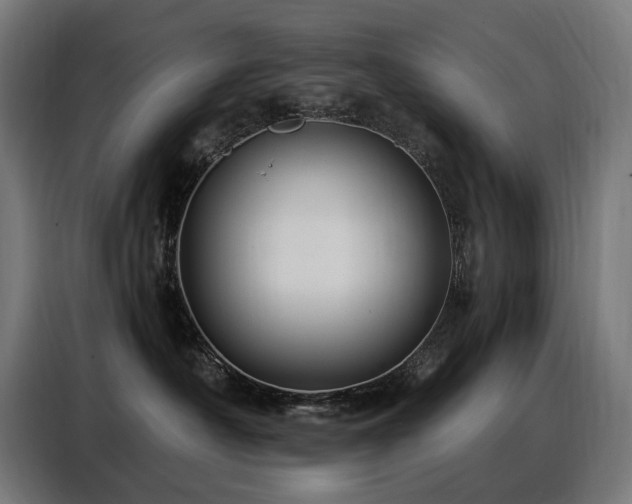 X0000088380430200705221057