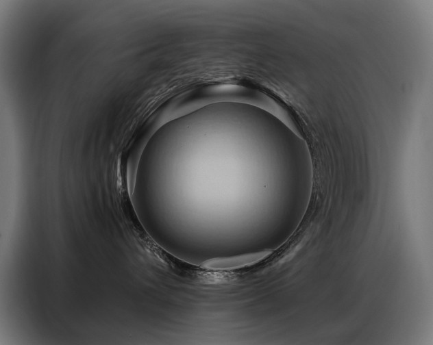 X0000088380432200705221057